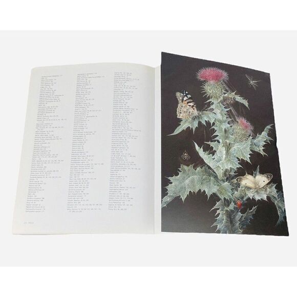 2008 Treasures of Botanical Art by Shirley Sherwood & Martyn Rix Artists Kew PB - Picture 11 of 13